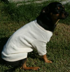ECOEFX Organic Cotton Doggie T-Shirt