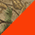 Realtree Xtra / Neon Orange